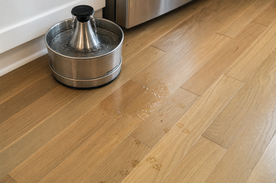 Your dog drinks. Your floor pays the price.