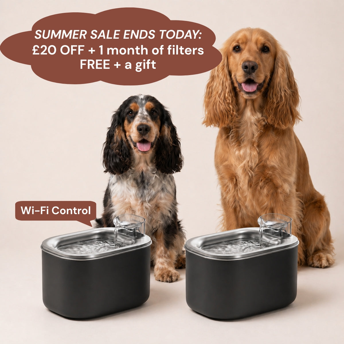 The Fountain that makes your dog