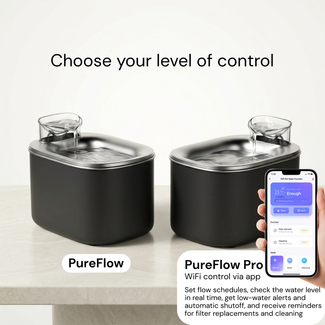 PureFlow | Continuous circulation. 304 stainless steel tray. Ion exchange resin filtration