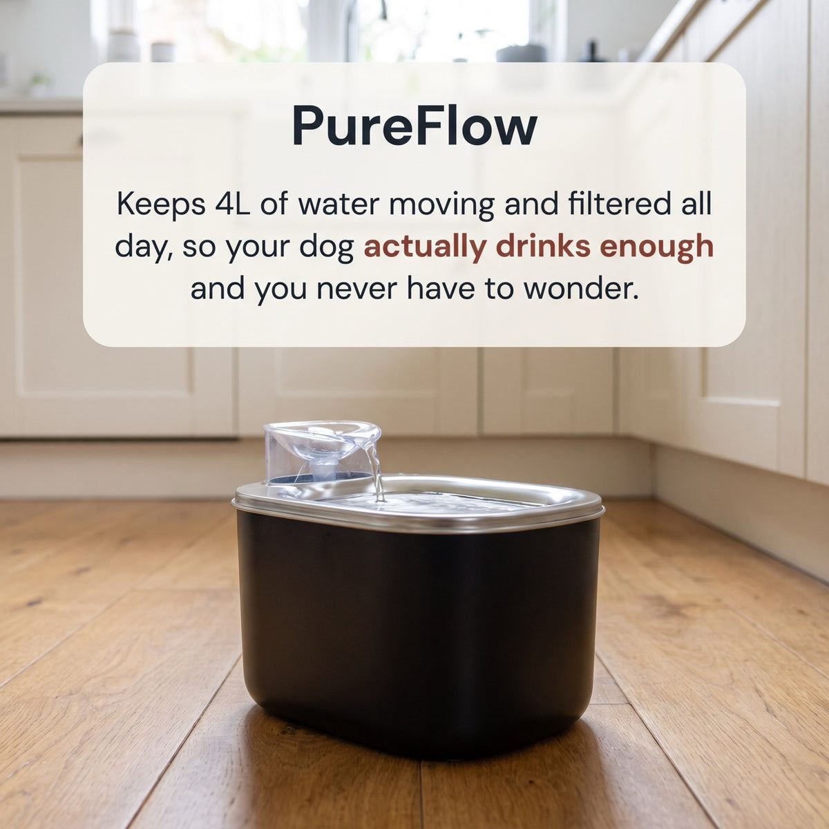 PureFlow Pro Foutain